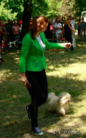 Srb.JCH Pearl Eyed Bears Elena in BIS ring
